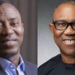 Obi, Sowore Should Contest National Assembly Seats, Not Presidency