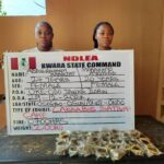 Nigerian Ladies Arrested For Producing, Selling Drug-Infused Cupcakes To Students In Kwara