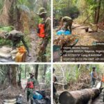 Army Destroys 21 Illegal Refineries And Confiscates 190,000 litres Of Stolen Products In Niger Delta (Photos)