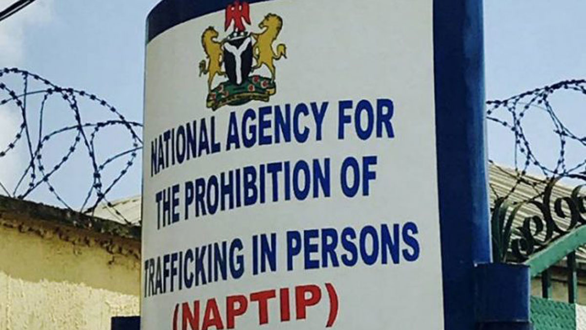 NAPTIP Nabs One Suspected Organ Harvester In Akwa Ibom