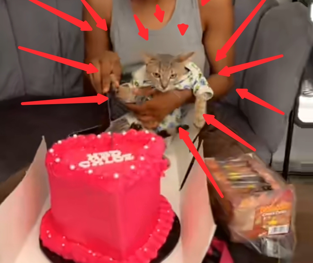 Nigerian Lady Throws Lavish Birthday Party For Her Cat (Video)