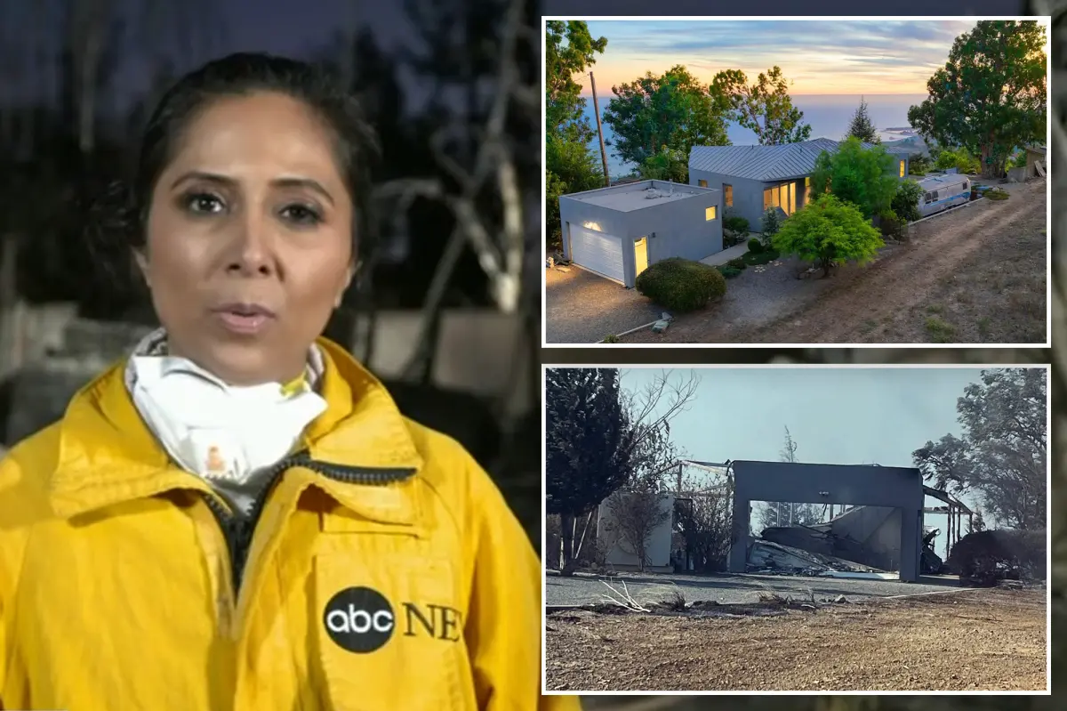 ABC News Reporter Loses ‘Dream Home’ In Los Angeles Fires Just One Night After She Moved In (Photos)