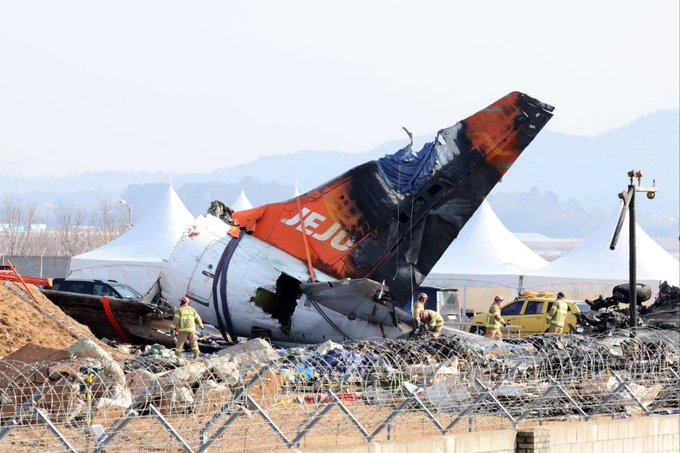 Bird Feathers, Blood Found In Both Engines Of Crashed South Korean Jeju Air Plane That Killed 179