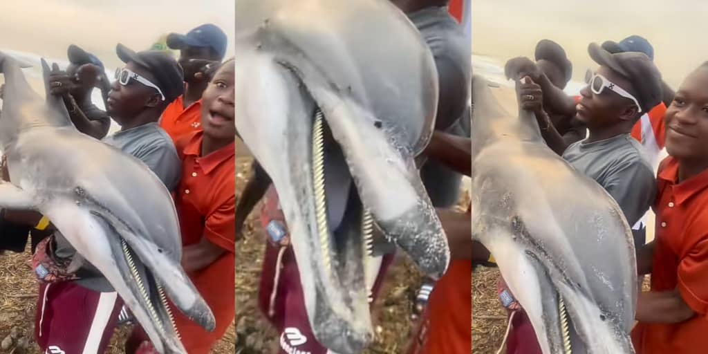 Youths Pose With Dolphin Caught In Nigerian Community