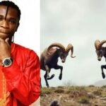 Speed Darlington Finally Breaks Silence After Release With Cryptic Message (Video)