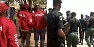 Gunfire Erupts As Police And NDLEA Clash Over Arrest Of Suspected Drug Dealer, Allegedly A Policeman’s Wife, In Bayelsa