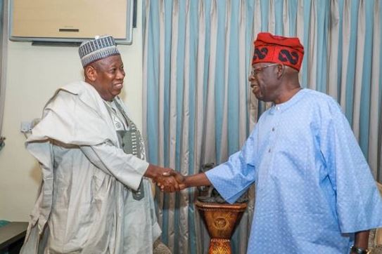 President Tinubu Offers Fresh Appointment To Ganduje