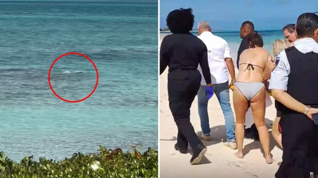 Commotion As Shark Bites Woman’s Hands Off After She Tried To Take A Photo Of It