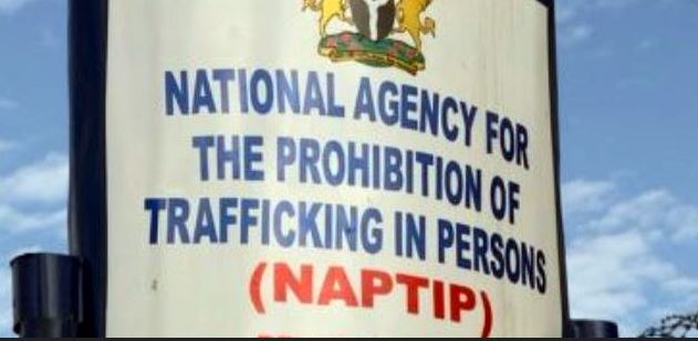 NAPTIP Seals Popular Hotel In FCT, Rescues 11 Underaged Victims Of S3xual Exploitation