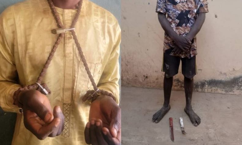 Police Rescue Kidnap Victim Chained With Padlock On Neck, Hands In Niger Forest