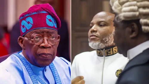 Igbo American Veterans Write Tinubu, Demand Nnamdi Kanu’s Unconditional Release