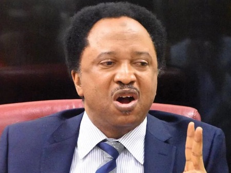 Very Unfortunate It’s Now About ‘Bed’ – Shehu Sani