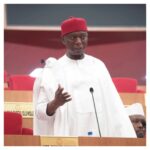 PDP Asks Court to Declare Ned Nwoko’s Seat Vacant, Order By-election