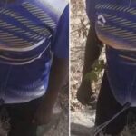 Body Of A Young Woman Found Hanging From A Tree In Gombe Community (Graphic Photos)