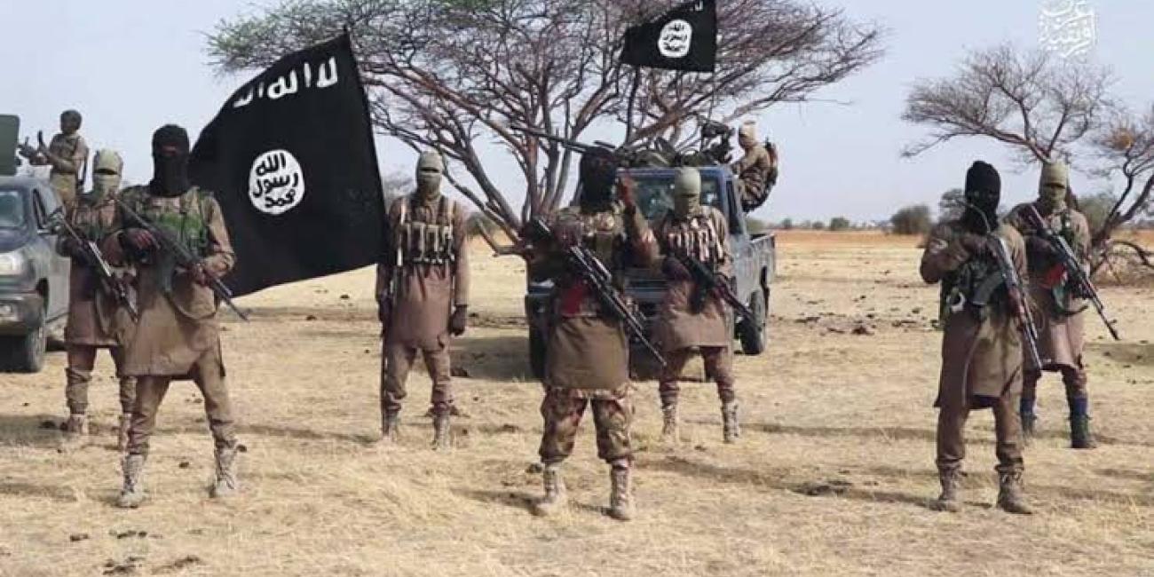 I Tore My Certificate, Thinking Education Was Haram – Ex-Boko Haram Member Opens Up